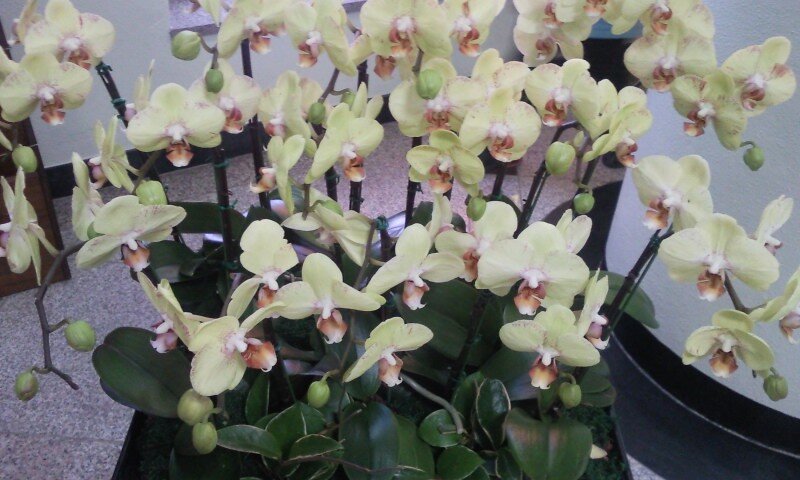 best0612's profile picture. 상담심리학 전공. 한국상담학회. 개인,가정,국가의 운명을 바꾸는 힘은 인문고전 독서에 있음을 확신. 살아있어 행복함을 느끼며, 희망을 품고 살 수 있는 세상 만들어 가는 길..혼자서는 결코 쉽지않겠지만 뜻이 있는 곳에 길이 있음을 믿음.