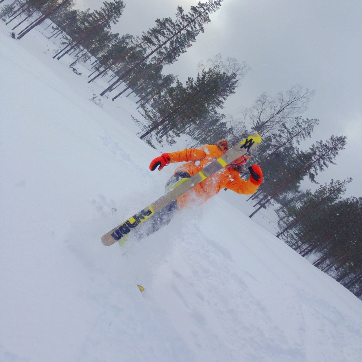 Ski$Life