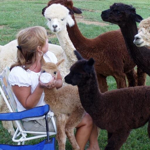 OldhamFarmTours's profile picture. Oldham Farm Tours is a program of @OldhamCoKY and is home to 17 educational farm tours! Your Real Life Show & Tell! @KYFarmFest