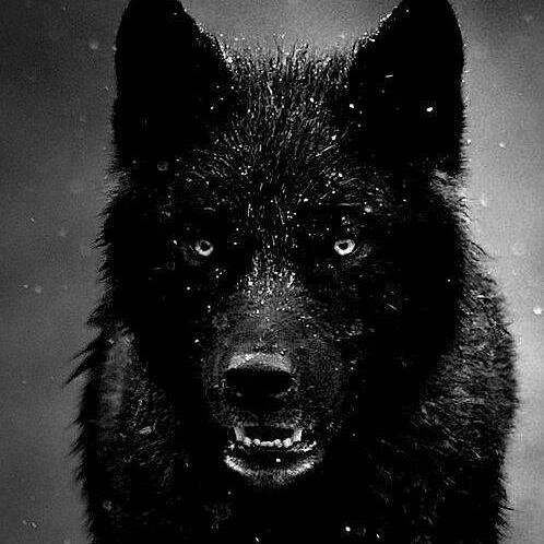 “Hell is empty and all the devils are here.” 
― William Shakespeare