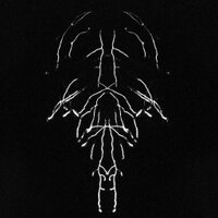 Root Papers (@rootpapers) 's Twitter Profile