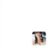 ___mr_23's profile image