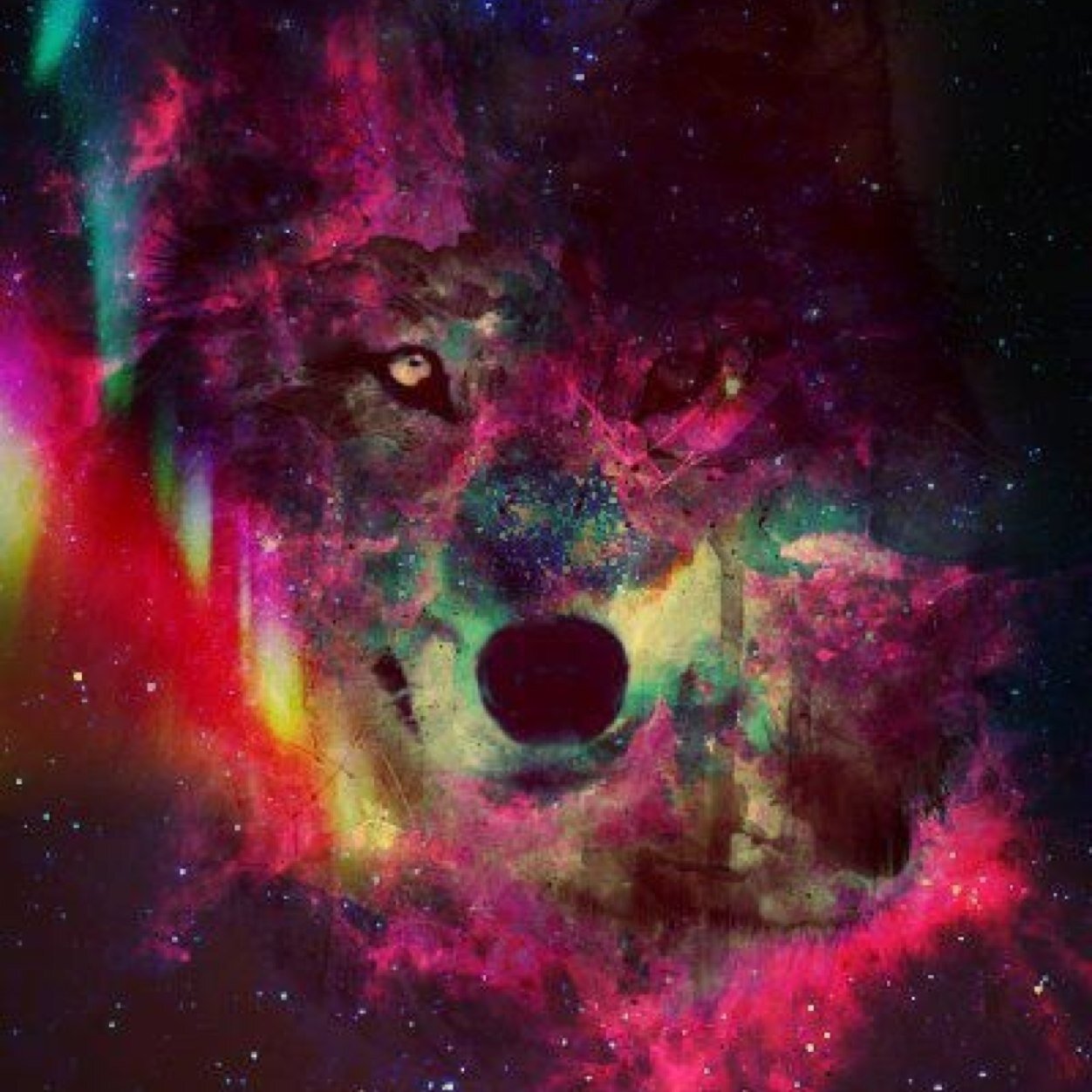 RAP: MORE THAN WOR(L)D