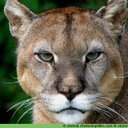 jack smithwick - @bigpuma27 - Twitter