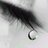 ssee511s's profile image