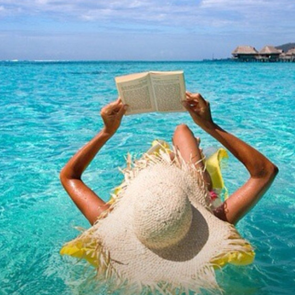 katobrien33's profile picture. 