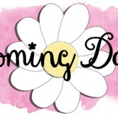 Blooming Daisies (@BloomingDaisie1) Twitter