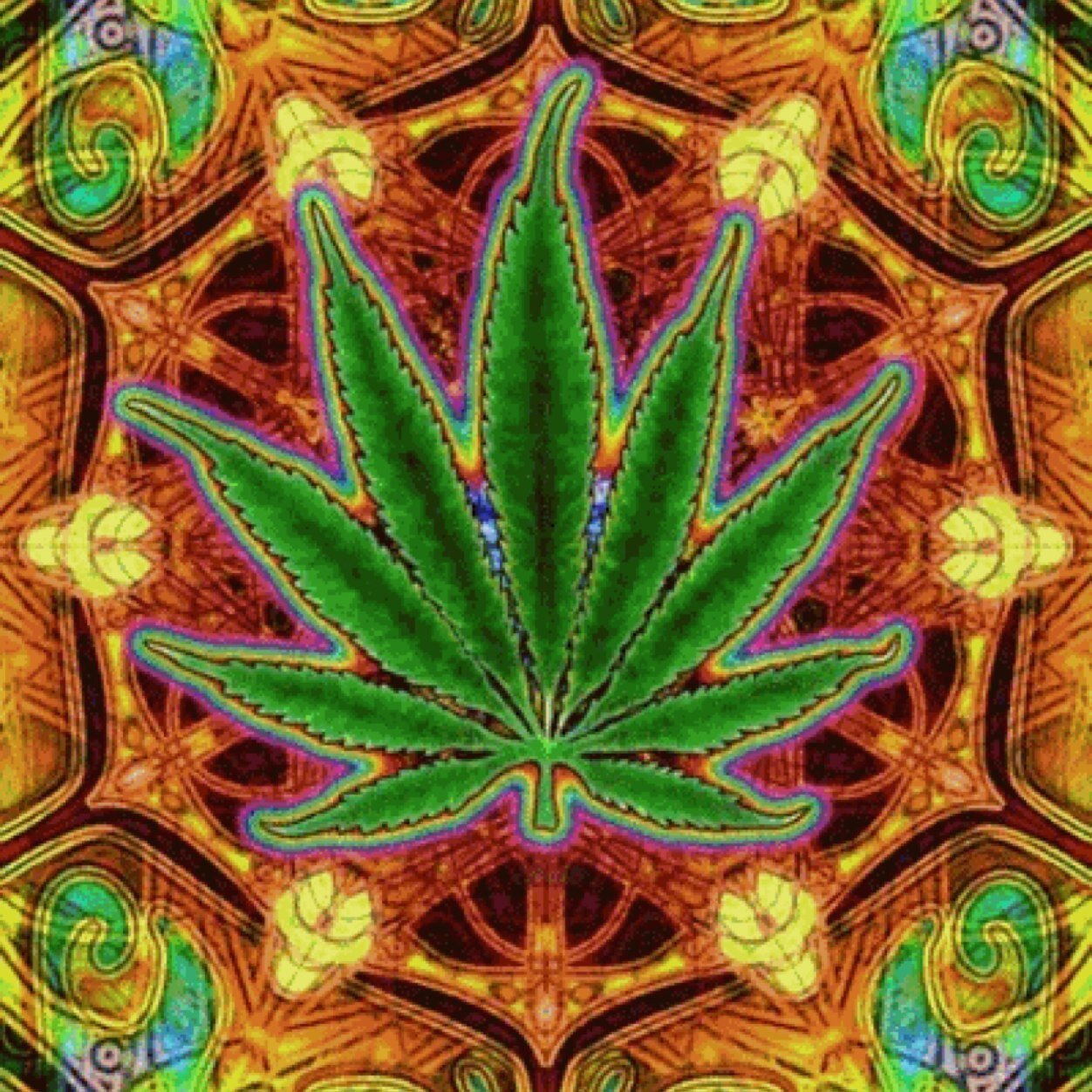 Higher State Of Mind