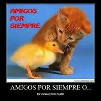 Roxy Hernandez (@bac2010roxy) 's Twitter Profile