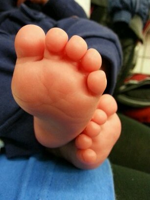 FieringM's profile picture. 