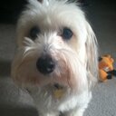 David Drouin - @PhillyFanDave - Twitter