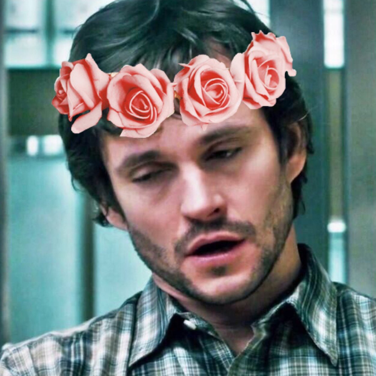 fuck bitches get dogs| gay but not as gay as you| not a seriel killer| caught the homos for @hahacannibals| @hellahound is my bitch| actual account @hellawhoa