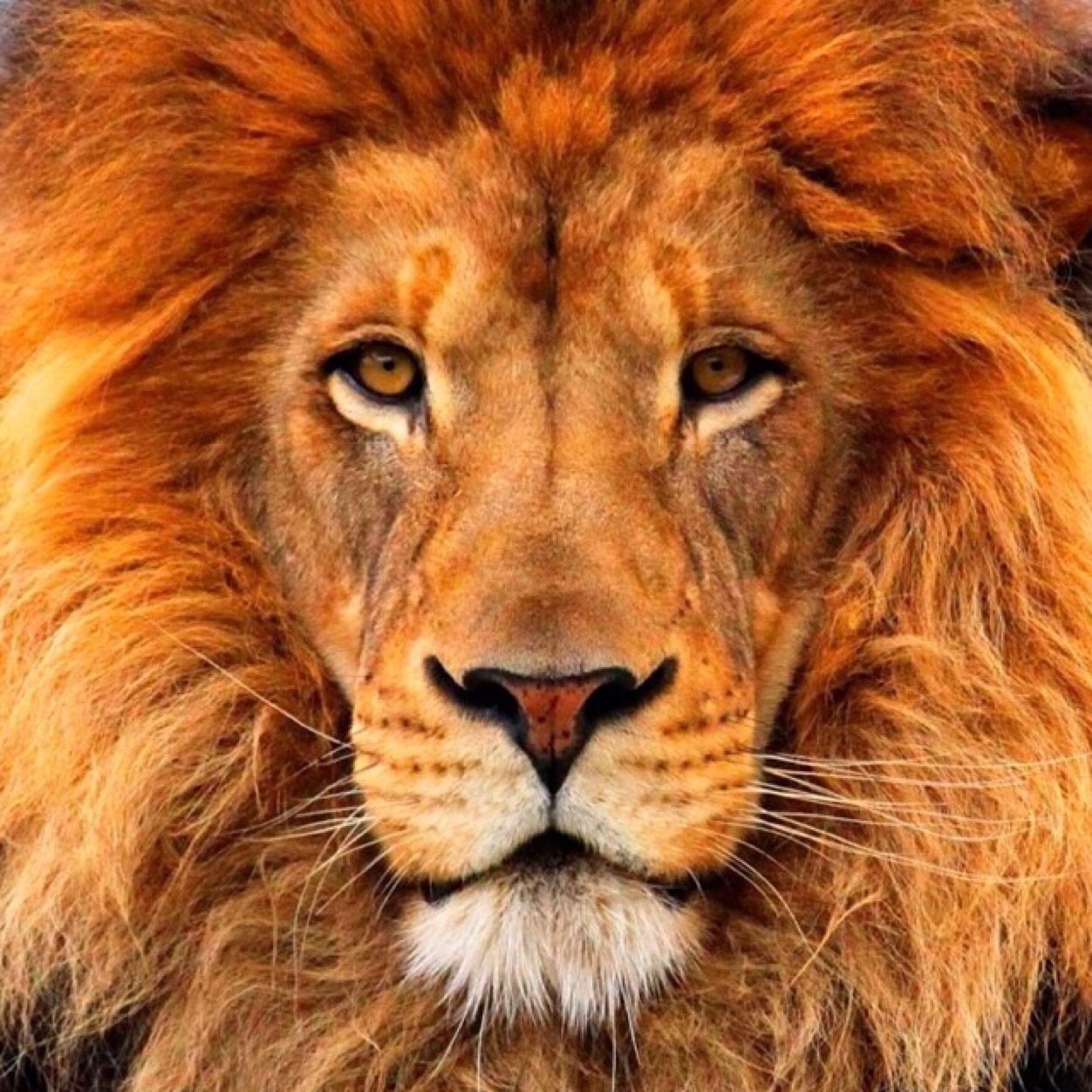Be the change you want to see in the world around you!