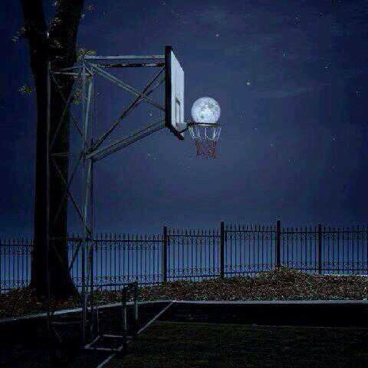 saku_1224_pika's profile picture. 