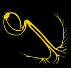 BrendaJuma_'s profile picture. In an abusive relationship with Arsenal!!!