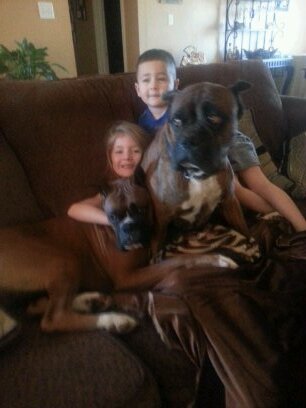 lovemyboxerbaby's profile picture. We love our Boxer babies!