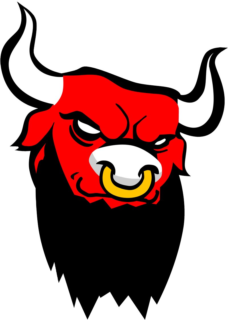 bullcitybeards's profile picture. 