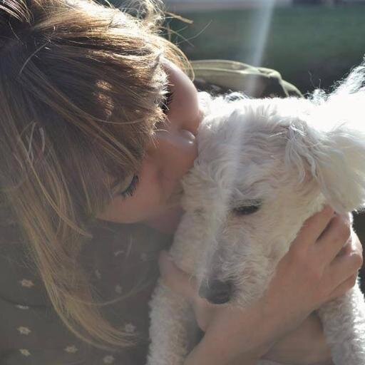 Dog Lover | Dog Trainer | K-9 Enthusiast