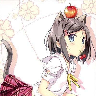 つつかくしつきこ z Twitter