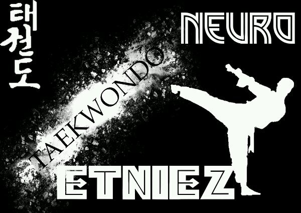 Taekwondo Etniz (SMAN 2 BEKASI) Fight To Win! | Neuro Etniez Go Fight Go Win Go Champhion!