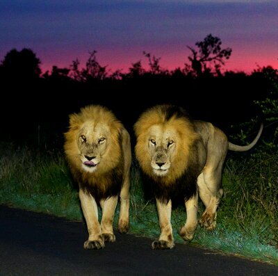 DanBass12's profile picture. 