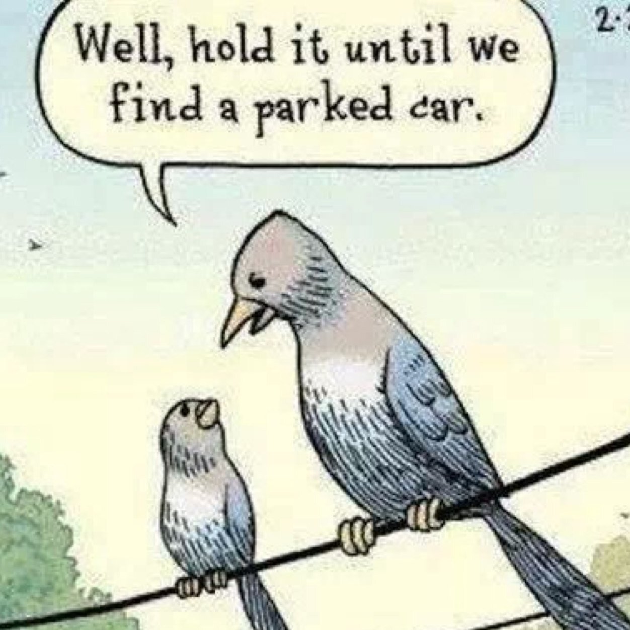 nickishuman's profile picture. I post funny pics that will make you laugh