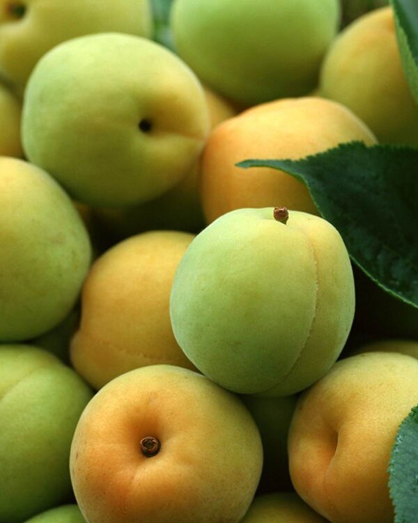 marko72219073's profile picture. 