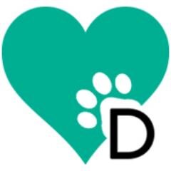 dogsfeelings's profile picture. Educatore Cinofilo e Practitioner 1 del metodo Tellington-TTouch per animali da compagnia