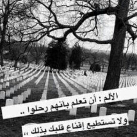 ماجستير في المناهج وطرق التدريس ومعلمه أحياء ومحضرة مختبر وحاصلة على جائزة التميز