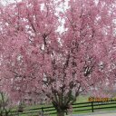 gloria sutherland - @gloriasutherla4 - Twitter