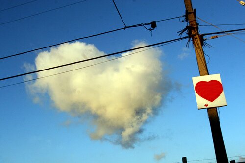 FlurriesofFlour's profile picture. Food blogger, freelance writer, animal rescuer, world traveler, and lover of whimsey.