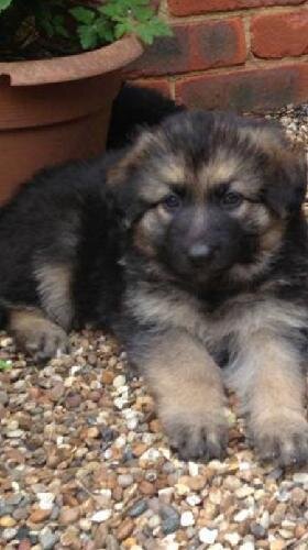 tweeting247365's profile picture. 