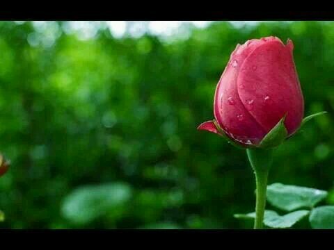 mali93766's profile picture. 