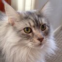 Damian Smyth - @JustMeTheD - Twitter