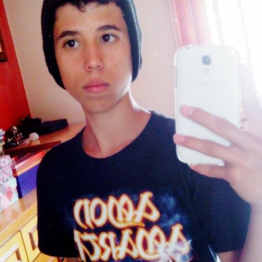 Sigo todos de volta :33
