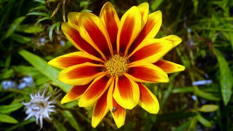 LawMash_1's profile picture. 