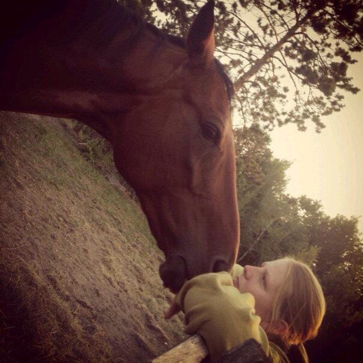 piratesgem's profile picture. 