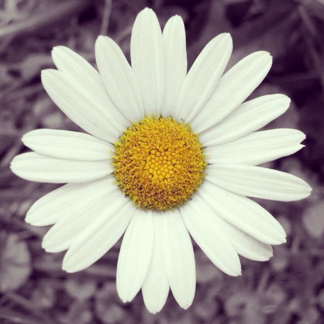 Just a small town girl, living in a lonely world. Follow me on instagram: _lucy_barker_