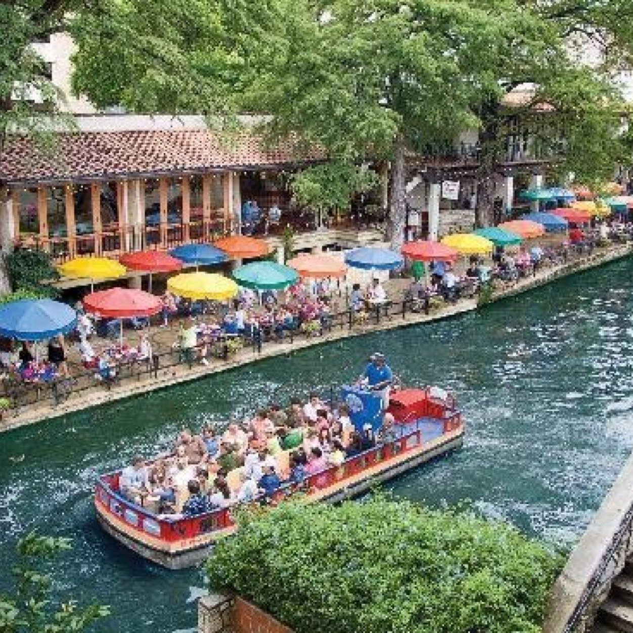 girls & guys in san antonio!  dm pictures to be posted