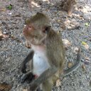 Tim Bingham - @binghamtim1962 - Twitter