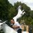 saudi_tunru's profile image
