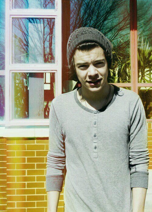1/2 Larry Stylinson duo page(: #BullshitToFreedom Harry Tops. All tweets are in Harry's POV (Diary entries) about all things Larry. (: