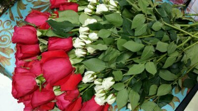 مشرفه فنيه لمرحلة رياض اطفال حاصله علي ماجستير في أصول التربيه