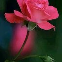 abudhabi (@2370bd05442445c) Twitter