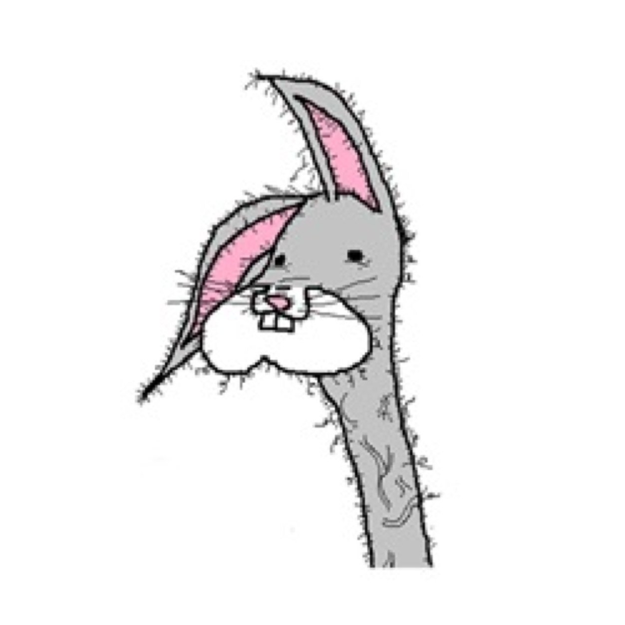 Imma haiwy bunni wabbit
