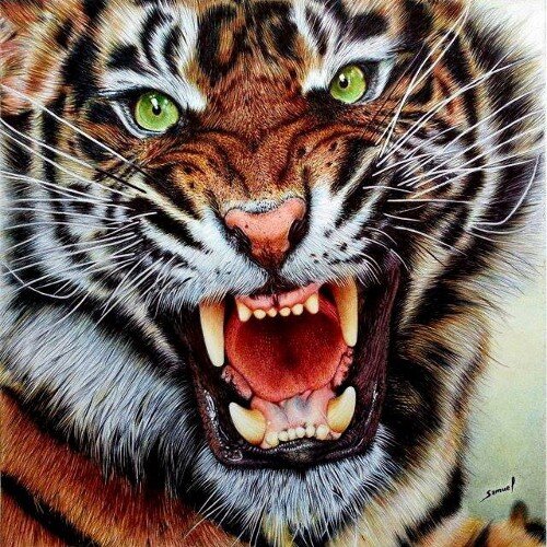 jeadie69's profile picture. 