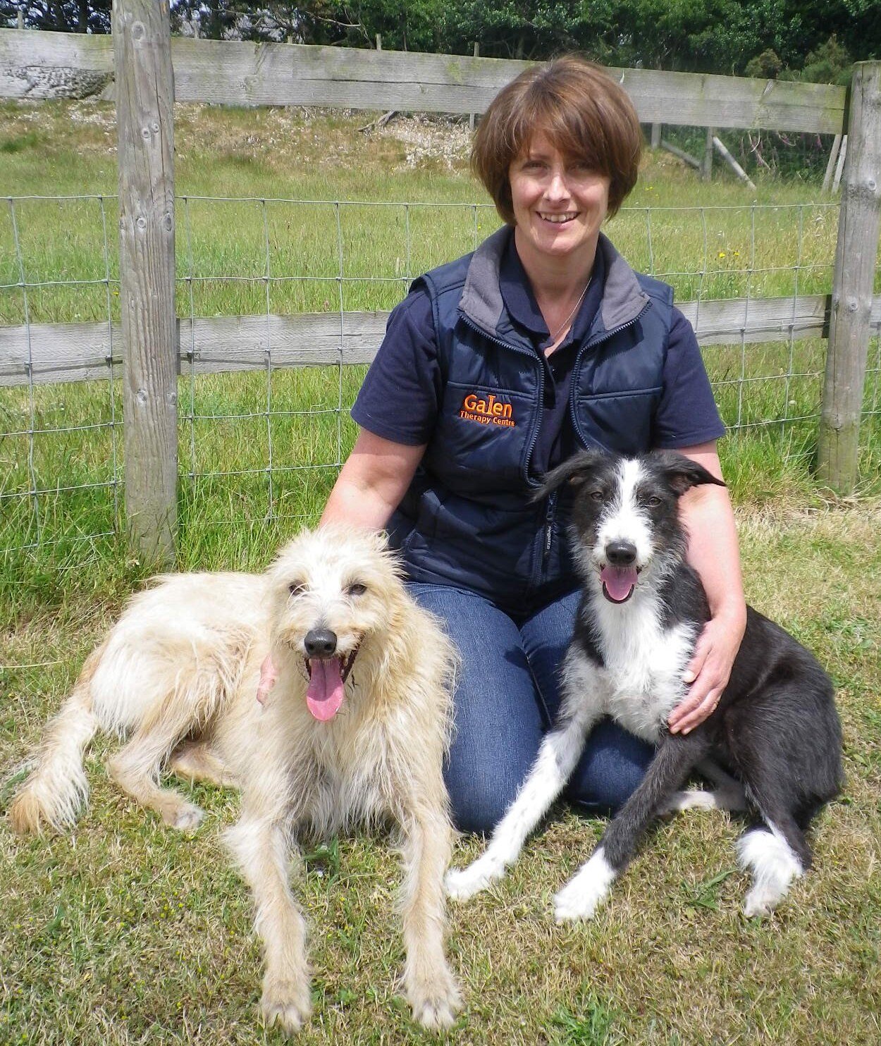 nfanimaltherapy's profile picture. Equine and Canine Therapist- Soft tissue manipulation, myofascial release, low level laser therapy and exercise physiology.