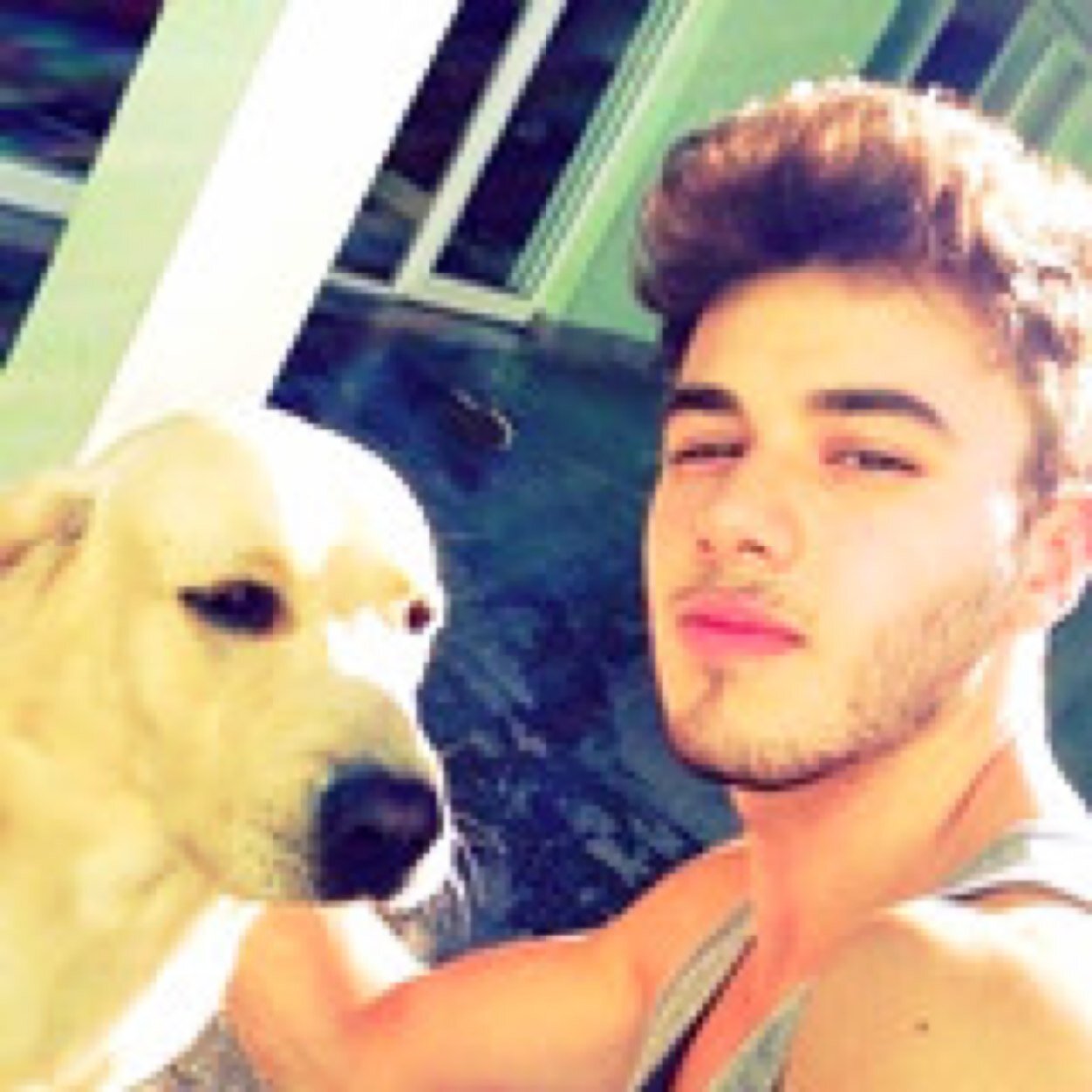 kingoffrauds's profile picture. [Straight] as an arrow.