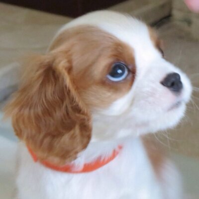 SarahEdw42's profile image