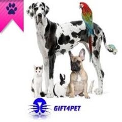 gift4pet's profile picture. All you will need for your furry friends in one place. More items being added daily.